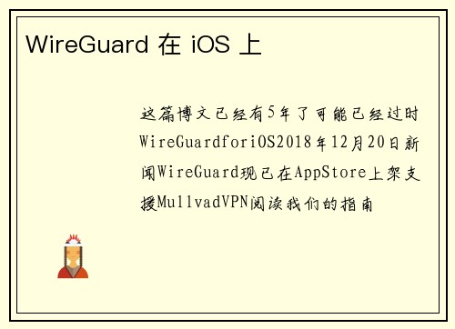 WireGuard 在 iOS 上 