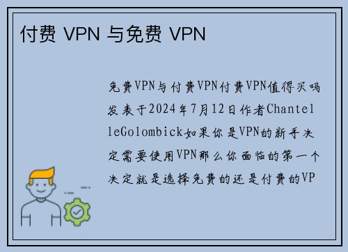 付费 VPN 与免费 VPN